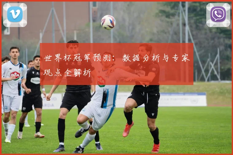世界杯冠军预测：数据分析与专家观点全解析