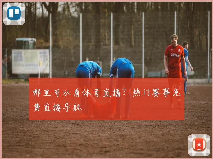 哪里可以看体育直播？热门赛事免费直播导航