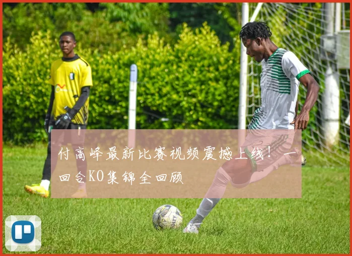 付高峰最新比赛视频震撼上线!一回合KO集锦全回顾